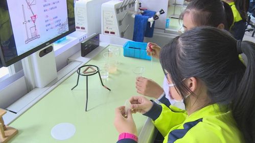 长白山 菜单式课后服务赋能“双减”落地，教育咨询精准护航