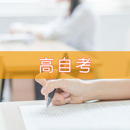 天津慧永诺教育信息咨询 专业引领，点亮未来教育之路